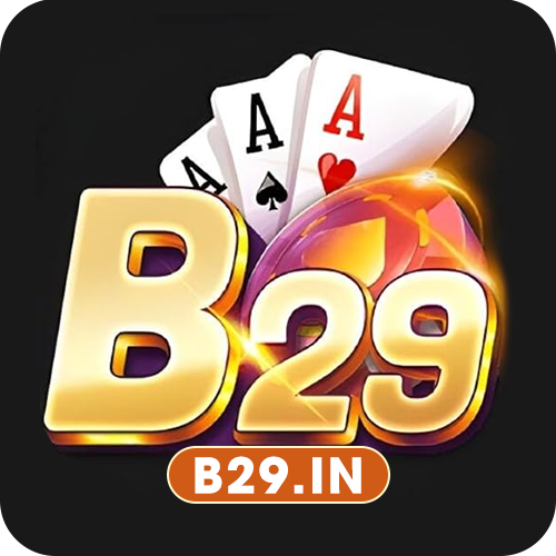B29