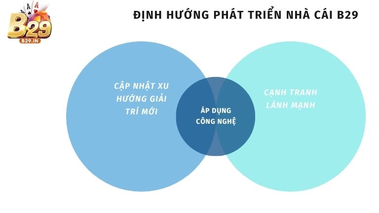 CEO Nhật Minh có định hướng phát triển B29 rõ ràng, chuyên nghiệp