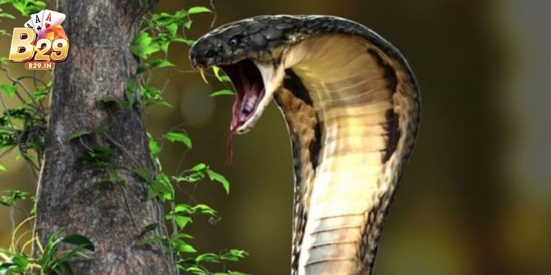 Chiêm bao thấy rắn đánh con gì? Hé lộ điềm báo và số may mắn