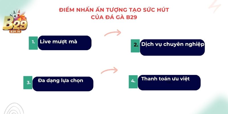 Điểm danh những điểm nhấn ấn tượng tạo sức hút của Đá Gà B29